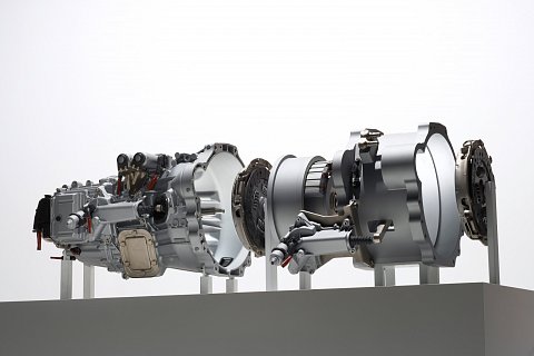 ZF