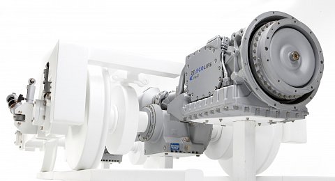 ZF