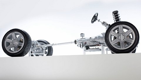 ZF-SUC-6.jpg