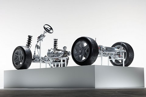 ZF-SUC-17.jpg