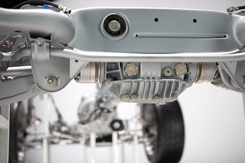 ZF-SUC-38.jpg