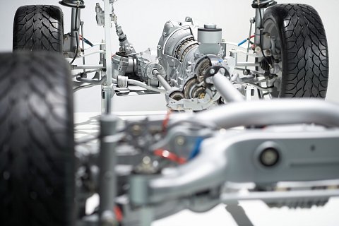 ZF-SUC-46.jpg