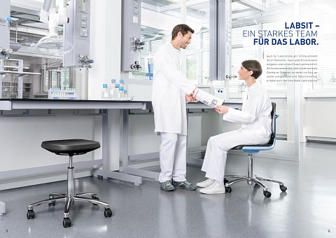 labsit-hires-12.jpg