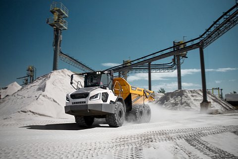 Motiv5-Kurve-7912-2.jpg